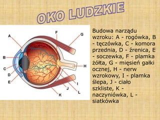 PrzyrząDy Optyczne1