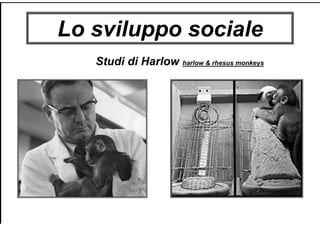 Lo sviluppo sociale
Studi di Harlow harlow & rhesus monkeys
 
