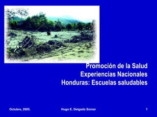 Promoción de la Salud
Experiencias Nacionales
Honduras: Escuelas saludables
Octubre, 2005. Hugo E. Delgado Súmar 1
 