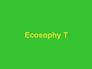 Ecosophy T 