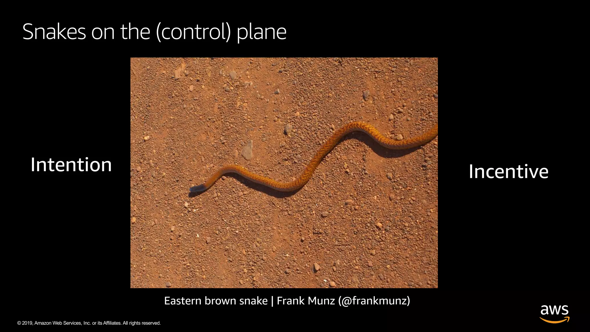© 2019, Amazon Web Services, Inc. or its Affiliates. All rights reserved.
Snakes on the (control) plane
@frankmunz)
 