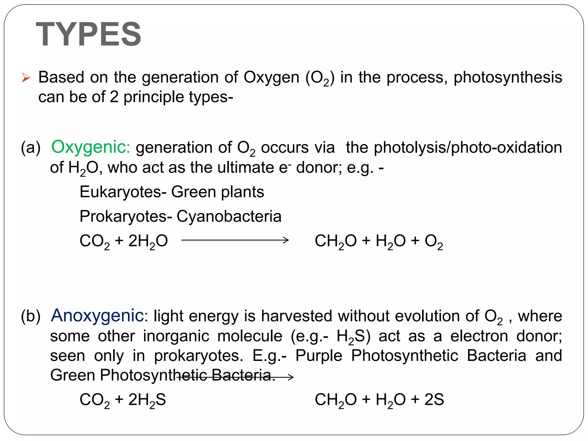Light reaction of Photosynthesis | PPTX