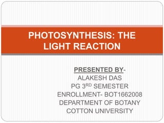PRESENTED BY-
ALAKESH DAS
PG 3RD SEMESTER
ENROLLMENT- BOT1662008
DEPARTMENT OF BOTANY
COTTON UNIVERSITY
PHOTOSYNTHESIS: THE
LIGHT REACTION
 