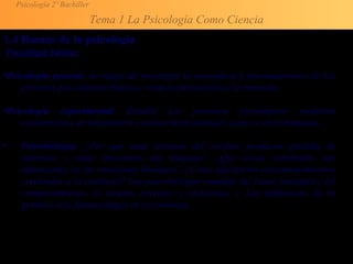 Psicología 2º Bachiller
Tema 1 La Psicología Como Ciencia
1.4 Ramas de la psicología
Psicología básica:
•Psicología general. Se ocupa de investigar la naturaleza y funcionamiento de los
procesos psicológicos básicos, como la percepción o la memoria.
•Psicología experimental. Estudia Los procesos psicológicos mediante
experimentos de laboratorio y utiliza tanto animales como a seres humanos.
• Psicobiología. ¿Por qué unas lesiones del cerebro producen pérdida de
memoria y otras trastornos del lenguaje? ¿Qué áreas cerebrales son
importantes en las emociones humanas? ¿Cómo afectan los neurotransmisores
cerebrales a la conducta? Los psicobiólogos estudian las bases biológicas del
comportamiento, el sistema nervioso y endocrino, y Las influencias de la
genética o la farmacología en la conducta.
 
