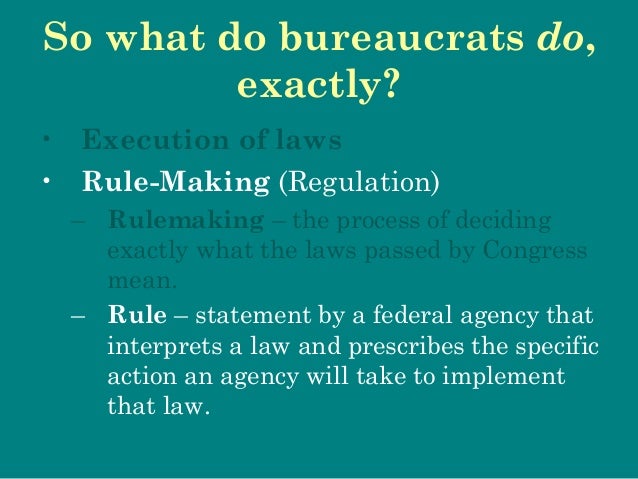 PS 101 The Bureaucracy Fall 2013