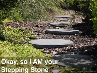 Okay, so I AM your
Stepping Stone       (cc) 2007 Flickr user .Gladius
 
