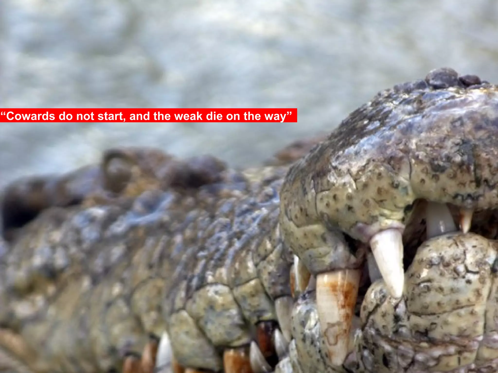 “ Cowards do not start, and the weak die on the way”  