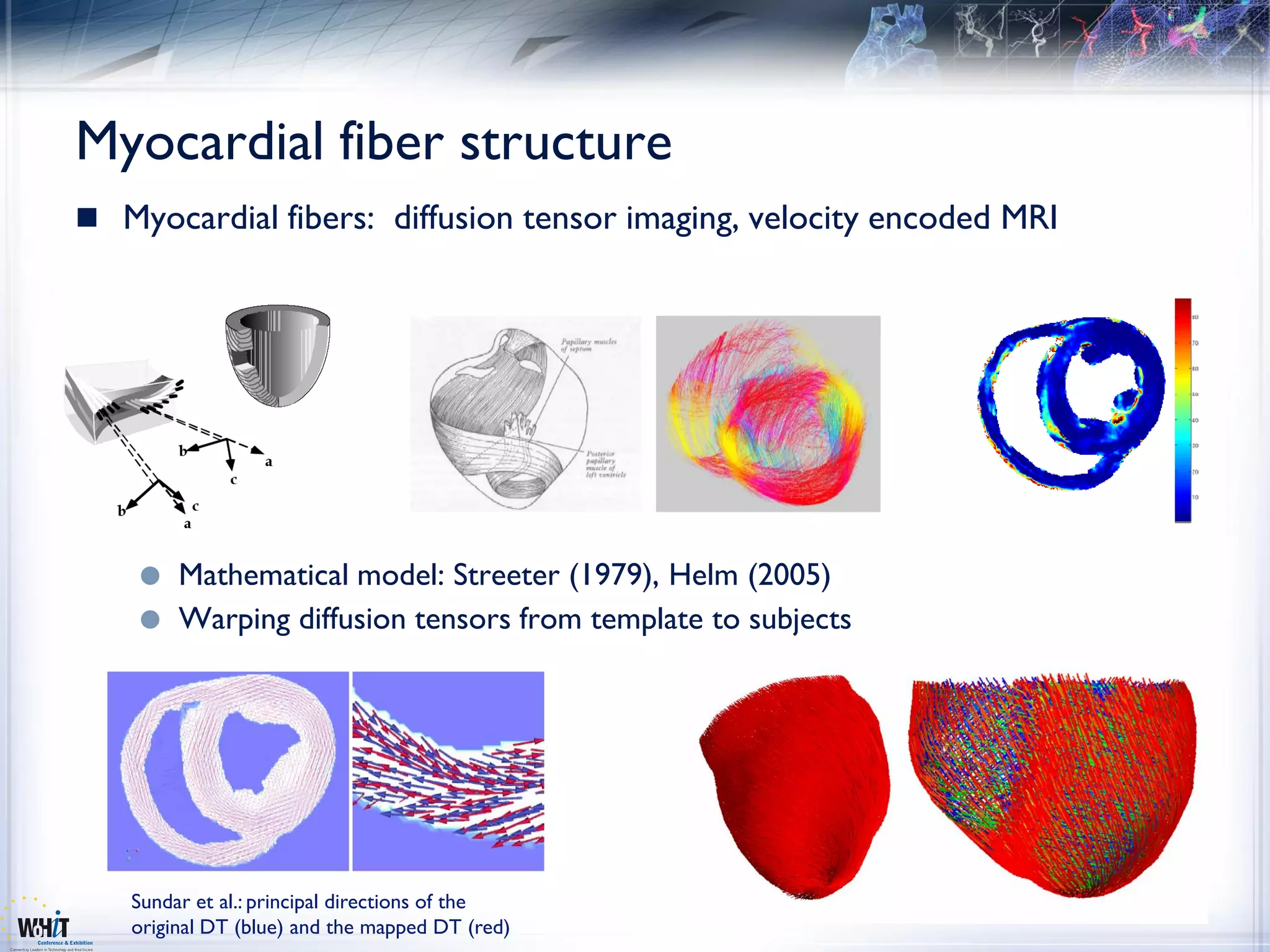 Myocardial fiber structure
 Myocardial fibers: diffusion tensor imaging, velocity encoded MRI




     Mathematical model: Streeter (1979), Helm (2005)
     Warping diffusion tensors from template to subjects




   Sundar et al.: principal directions of the
   original DT (blue) and the mapped DT (red)
 