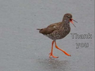 Guðni A. Jóhannesson – Plenary Session