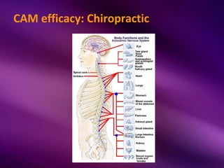 CAM efficacy: Chiropractic
 