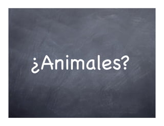 ¿Animales?
 