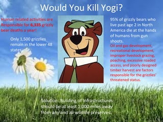 Would You Kill Yogi?
Human related activities are
Responsible for 6,335 grizzly
bear deaths a year!
95% of grizzly bears who
live past age 2 in North
America die at the hands
of humans from gun
shoots.Only 1,500 grizzlies
remain in the lower 48
states.
Solution: Building of Infrastructures
should be at least 1,000 miles away
from any and all wildlife preserves.
Oil and gas development,
recreational development,
improper livestock grazing,
poaching, excessive roaded
access, and poorly designed
timber harvest are factors
responsible for the grizzlies’
threatened status.
 