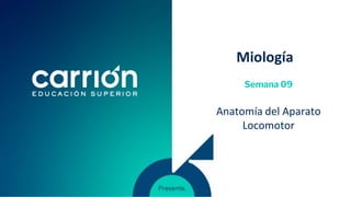 Miología
Semana 09
Anatomía del Aparato
Locomotor
 