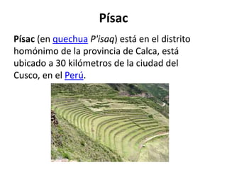 Písac
Písac (en quechua P'isaq) está en el distrito
homónimo de la provincia de Calca, está
ubicado a 30 kilómetros de la ciudad del
Cusco, en el Perú.
 