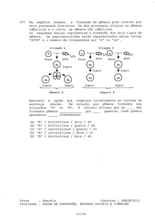 Psa cn 2011 pot_est soc_ ciências_ amarela