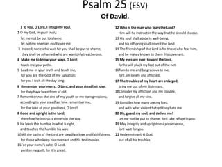 Psalm 25 (ESV)
1 To you, O Lord, I lift up my soul.
2 O my God, in you I trust;
let me not be put to shame;
let not my enemies exult over me.
3 Indeed, none who wait for you shall be put to shame;
they shall be ashamed who are wantonly treacherous.
4 Make me to know your ways, O Lord;
teach me your paths.
5 Lead me in your truth and teach me,
for you are the God of my salvation;
for you I wait all the day long.
6 Remember your mercy, O Lord, and your steadfast love,
for they have been from of old.
7 Remember not the sins of my youth or my transgressions;
according to your steadfast love remember me,
for the sake of your goodness, O Lord!
8 Good and upright is the Lord;
therefore he instructs sinners in the way.
9 He leads the humble in what is right,
and teaches the humble his way.
10 All the paths of the Lord are steadfast love and faithfulness,
for those who keep his covenant and his testimonies.
11For your name's sake, O Lord,
pardon my guilt, for it is great.
Of David.
12 Who is the man who fears the Lord?
Him will he instruct in the way that he should choose.
13 His soul shall abide in well-being,
and his offspring shall inherit the land.
14 The friendship of the Lord is for those who fear him,
and he makes known to them his covenant.
15 My eyes are ever toward the Lord,
for he will pluck my feet out of the net.
16Turn to me and be gracious to me,
for I am lonely and afflicted.
17 The troubles of my heart are enlarged;
bring me out of my distresses.
18Consider my affliction and my trouble,
and forgive all my sins.
19 Consider how many are my foes,
and with what violent hatred they hate me.
20 Oh, guard my soul, and deliver me!
Let me not be put to shame, for I take refuge in you.
21 May integrity and uprightness preserve me,
for I wait for you.
22 Redeem Israel, O God,
out of all his troubles.
 