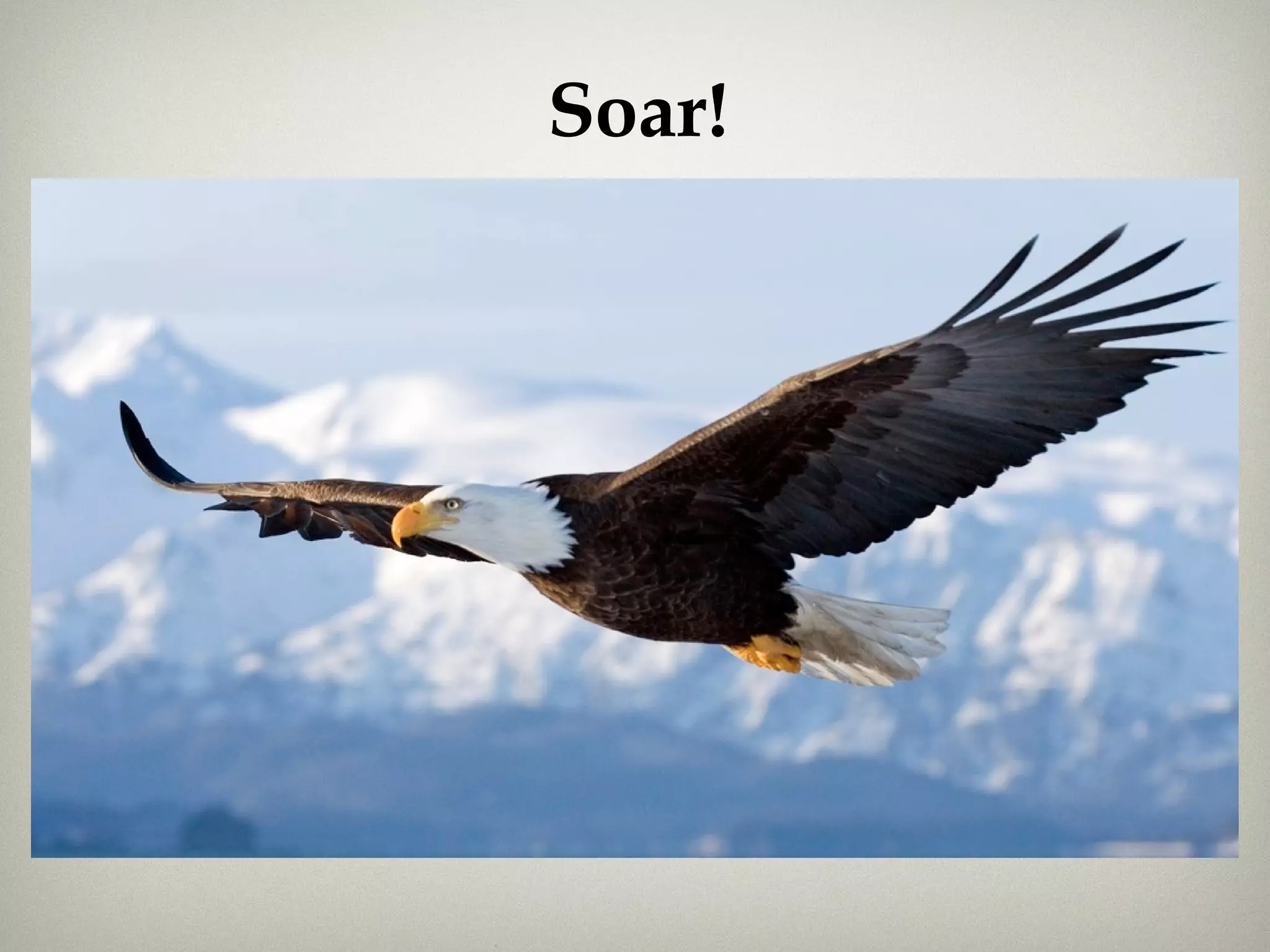 Soar!
 