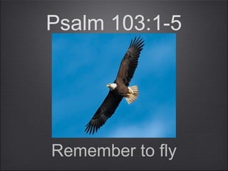 Psalm 103:1-5
Remember to fly
 