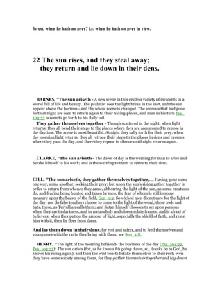 forest, when he hath no prey? i.e. when he hath no prey in view.
22 The sun rises, and they steal away;
they return and lie down in their dens.
BAR ES, "The sun ariseth - A new scene in this endless variety of incidents in a
world full of life and beauty. The psalmist sees the light break in the east, and the sun
appear above the horizon - and the whole scene is changed. The animals that had gone
forth at night are seen to return again to their hiding-places, and man in his turn Psa_
104:23 is seen to go forth to his daily toil.
They gather themselves together - Though scattered in the night, when light
returns, they all bend their steps to the places where they are accustomed to repose in
the daytime. The scene is most beautiful. At night they sally forth for their prey; when
the morning light returns, they all retrace their steps to the places in dens and caverns
where they pass the day, and there they repose in silence until night returns again.
CLARKE, "The sun ariseth - The dawn of day is the warning for man to arise and
betake himself to his work; and is the warning to them to retire to their dens.
GILL, "The sun ariseth, they gather themselves together,.... Having gone some
one way, some another, seeking their prey; but upon the sun's rising gather together in
order to return from whence they came, abhorring the light of the sun, as some creatures
do, and fearing being hunted and taken by men, the fear of whom is still in some
measure upon the beasts of the field, Gen_9:2. So wicked men do not care for the light of
the day, nor do false teachers choose to come to the light of the word; these owls and
bats, these, as Tertullian calls them; and Satan himself chooses to set upon persons
when they are in darkness, and in melancholy and disconsolate frames; and is afraid of
believers, when they put on the armour of light, especially the shield of faith, and resist
him with it, then he flees from them.
And lay them down in their dens; for rest and safety, and to feed themselves and
young ones with the ravin they bring with them; see Son_4:8.
HE RY, "The light of the morning befriends the business of the day (Psa_104:22,
Psa_104:23): The sun arises (for, as he knows his going down, so, thanks be to God, he
knows his rising again), and then the wild beasts betake themselves to their rest; even
they have some society among them, for they gather themselves together and lay down
 
