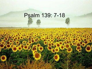 Psalm 139: 7-18
 