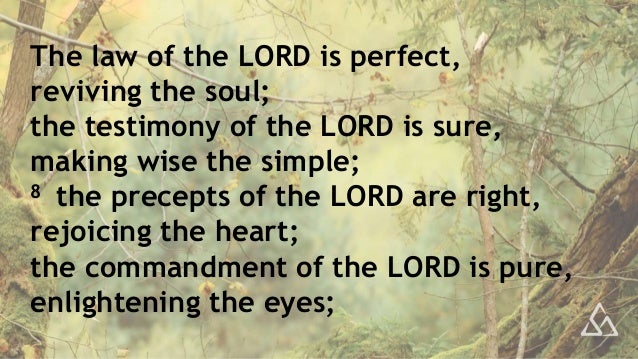 the fear of the lord is pure