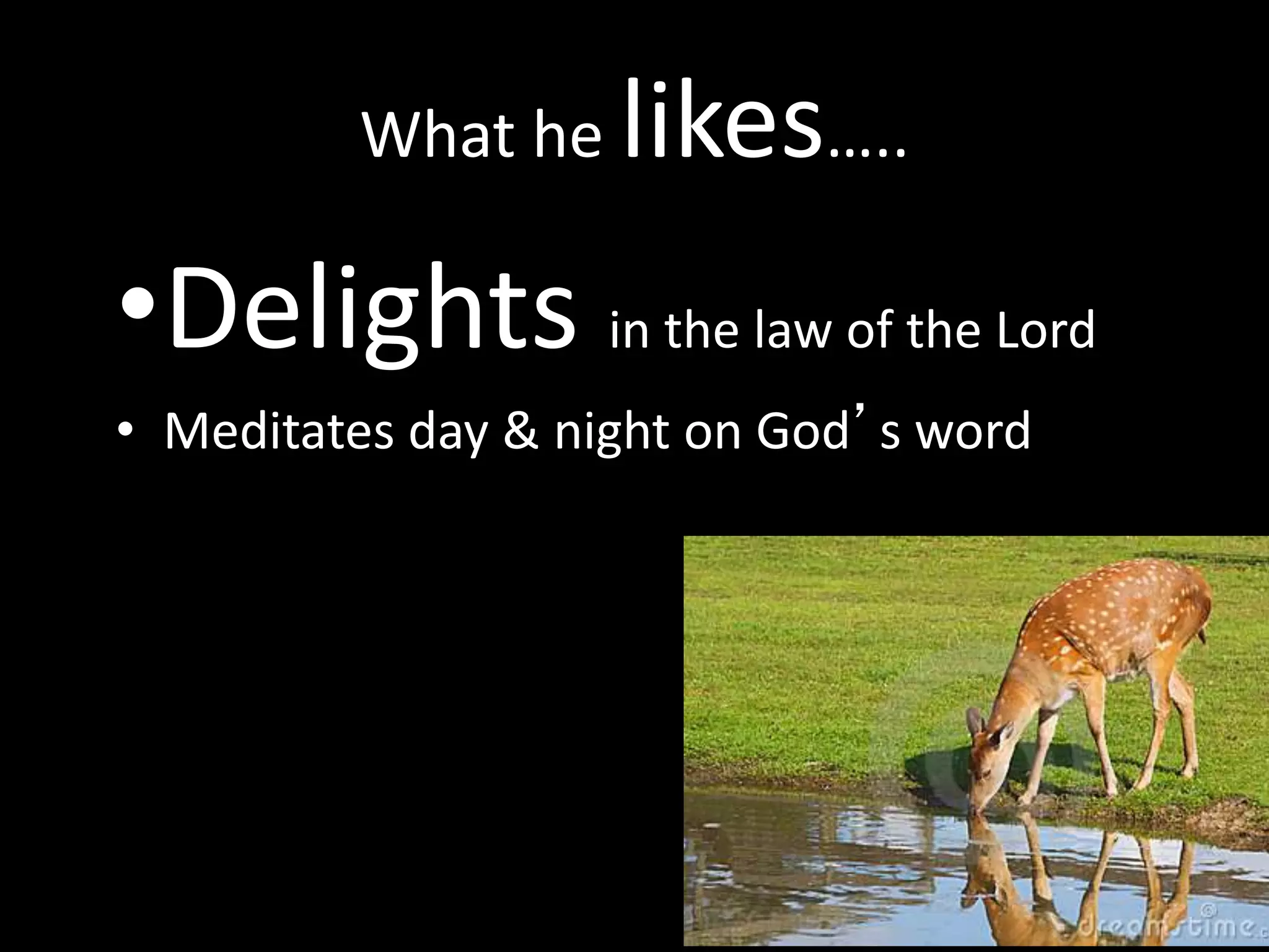 What he likes…..
•Delights in the law of the Lord
• Meditates day & night on God’s word
 