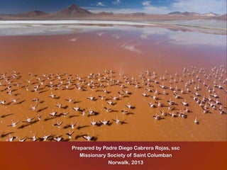 Prepared by Padre Diego Cabrera Rojas, ssc
   Missionary Society of Saint Columban
              Norwalk, 2013
 