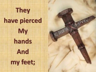 They
have pierced
    My
   hands
    And
  my feet;
 