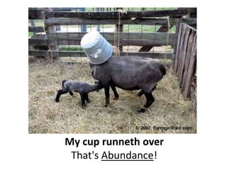 My cup runneth over… That's Abundance!