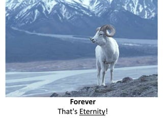 Forever… That's Eternity!