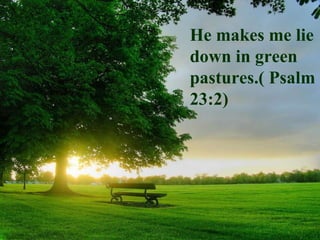 He makes me lie down in green pastures.( Psalm 23:2) 