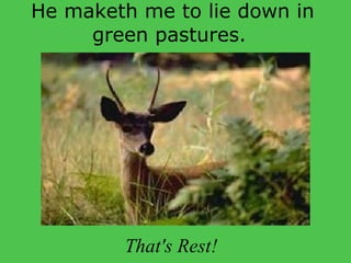 He maketh me to lie down in green pastures.  That's Rest! 