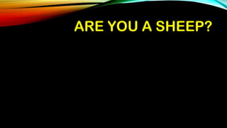 ARE YOU A SHEEP?ARE YOU A SHEEP?
 