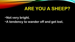ARE YOU A SHEEP?ARE YOU A SHEEP?
•Not very bright.
•A tendency to wander off and get lost.
 