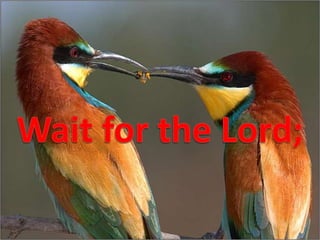 Wait for the Lord; 