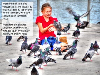 Wenn ihr mich liebt und
versucht, meinem Beispiel zu
folgen, andere zu lieben und
für sie zu sorgen, wird Gott
sich um euch kümmern. -
Jesus
Wohl dem, der sich des
Dürftigen annimmt! Den
wird der HERR erretten zur
bösen Zeit. (Psalm 41:1)
 