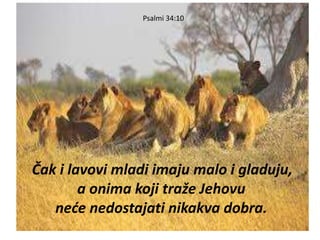 Psalmi 34:10
Čak i lavovi mladi imaju malo i gladuju,
a onima koji traže Jehovu
neće nedostajati nikakva dobra.
 