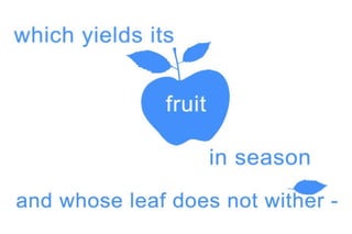 PSALM 1 NIV visual data 7