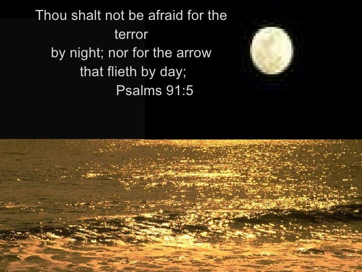 p​s​a​l​m​ ​9​1​ ​t​e​r​r​o​r​ ​b​y​ ​n​i​g​h​t - ZoneAlarm Results