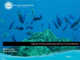 Pago por Servicios Ambientales Marino en Puerto Morelos
1
Beatriz Lucas
12 de junio 2013
 