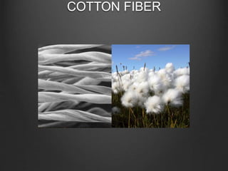 COTTON FIBER
 