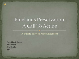 A Public Service Announcement Pinelands Preservation:A Call To Action Fake Plastic Trees Radiohead The Bends 1995 
