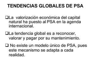 Principales Experiencias en el Mundo La  valorización económica del capital natural ha puesto al   PSA en la agenda internacional. La tendencia global es a reconocer, valorar y pagar por su mantenimiento. No existe un modelo único de PSA, pues este mecanismo se adapta a cada realidad. TENDENCIAS GLOBALES DE PSA 