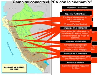 Cómo se conecta el PSA con la economía? Recarga de acuíferos en cuenca. Servicio Ambiental Pérdida de reservas de agua limitan la expansión agrícola y urbana. Impactos en la economía Pérdida de acuíferos por sobre-explotación, provocando intrusión marina.(Piura – Lambayeque.) Impactos Ambientales Control de erosión filtración, oxigenación, etc. Servicio Ambiental Mayores costos de tratamiento de agua para diversos usos (potable, industrial, minera) Impactos en la economía Deterioro de calidad de agua por actividades antrópicas. (Valle del Rimac, del Santa) Impactos Ambientales Control de erosión, habitats de flora y fauna alimenticia. Servicio Ambiental Pérdida de biodiversidad, misión de GEI, ineficiente uso de tierra. Impactos en la economía Pérdida de cobertura vegetal por agricultura migratoria. (Ucayali, Junín, Huánuco) Impactos Ambientales Conservación de la biodiversidad Servicio Ambiental Pérdida de potenciales negocios basados en flora-fauna, turismo, pérdida de valores de opción de existencia. Impactos en la economía Pérdida de biodiversidad en ANP por actividades económicas. (El Manu, Pacaya Samiria) Impactos Ambientales Fijación de carbono, regulación climática. Servicio Ambiental Menor disponibilidad hídrica para actividades económicas. Impactos en la economía Retroceso de glaciares por calentamiento global (Ancash, Cusco, Arequipa) Impactos Ambientales 