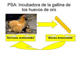 PSA: Incubadora de la gallina de los huevos de oro Servicios Ambientales Bienes Ambientales 