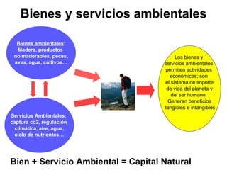 Bienes y servicios ambientales Bienes ambientales : Madera, productos  no maderables, peces, aves, agua, cultivos… Servicios Ambientales :   captura co2, regulación  climática, aire, agua, ciclo de nutrientes… Los bienes y  servicios ambientales  permiten actividades  económicas; son  el sistema de soporte de vida del planeta y del ser humano.  Generan beneficios tangibles e intangibles Bien + Servicio Ambiental = Capital Natural 