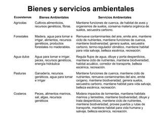 Bienes y servicios ambientales Mantiene funciones de cuenca, mantiene ciclo de nutrientes, remueve contaminantes del aire, emite oxígeno, mantiene biodiversidad, genera suelos, secuestra carbono, mantiene habitat para vida salvaje, belleza escénica, recreación. Ganadería, recursos genéticos, agua para tomar e irrigar  Pasturas  Remueve contaminantes del aire, emite aire, mantiene ciclo de nutrientes, mantiene funciones de cuenca, mantiene biodiversidad, genera suelos, secuestra carbono, termo-regulador climático, mantiene habitat para vida salvaje, belleza escénica, recreación.  Madera, agua para tomar e irrigar, alimentos, recursos genéticos, productos forestales no maderables. Forestales  Mantiene funciones de cuenca, de habitat de aves y organismos de suelos, conserva materia orgánica de suelos, secuestra carbono.  Servicios Ambientales Cultivos alimenticios, recursos genéticos, fibras. Bienes Ambientales Agricolas Ecosistemas   Regula flujos de agua, diluye y porta desperdicios, mantiene ciclo de nutrientes, mantiene biodiversidad, habitat acuático, corredor de transporte, belleza escénica, recreación.  Agua para tomar e irrigar, peces, recursos genéticos, energía hidráulica  Agua dulce  Modera impactos de tormentas, mantiene habitats marinos y terrestres, mantiene biodiversidad, diluye y trata desperdicios, mantiene ciclo de nutrientes, mantiene biodiversidad, provee puertos y rutas de transporte, mantiene habitat para vida humana y salvaje, belleza escénica, recreación. Peces, alimentos marinos, sal, algas, recursos genéticos  Costeros  