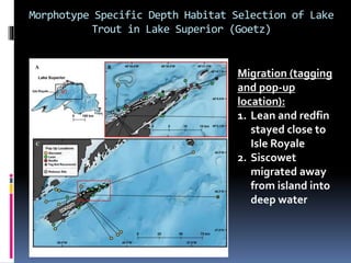 Morphotype Specific Depth Habitat Selection of Lake
Trout in Lake Superior (Goetz)
Migration (tagging
and pop-up
location)...