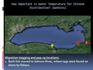 How Important is Water Temperature for Chinook
Distribution? (Watkins)
Migration (tagging and pop-up location):
1. Both fi...