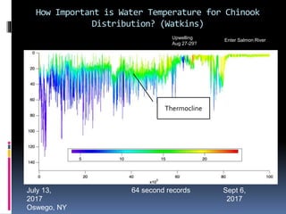 How Important is Water Temperature for Chinook
Distribution? (Watkins)
Sept 6,
2017
Enter Salmon River
July 13,
2017
Osweg...